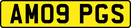 AM09PGS