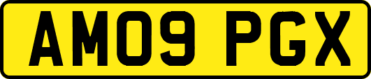 AM09PGX
