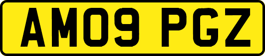 AM09PGZ