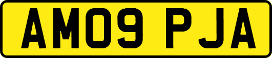 AM09PJA