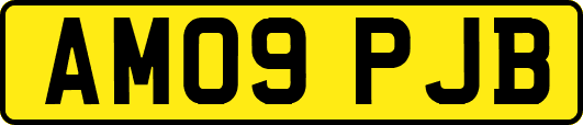 AM09PJB