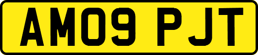 AM09PJT
