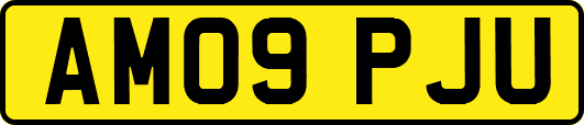 AM09PJU