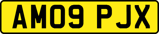 AM09PJX