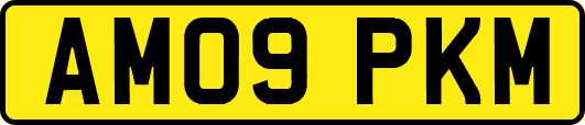AM09PKM