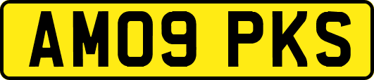 AM09PKS