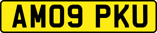 AM09PKU