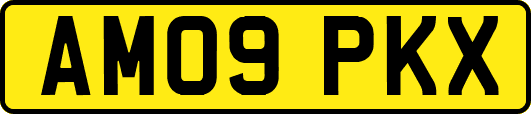 AM09PKX