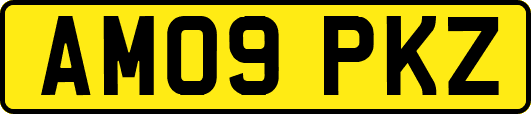 AM09PKZ