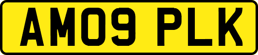 AM09PLK