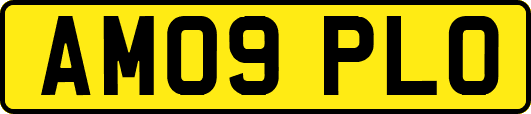 AM09PLO