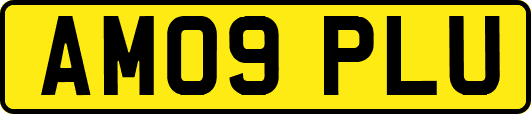 AM09PLU