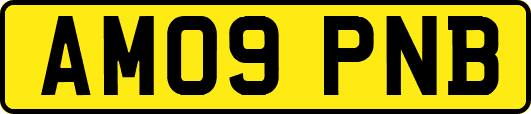 AM09PNB