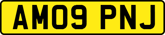 AM09PNJ