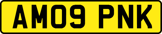AM09PNK