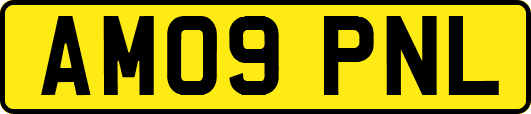 AM09PNL