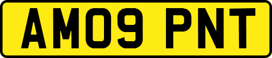 AM09PNT