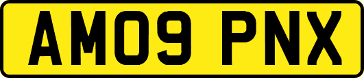 AM09PNX