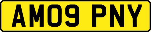 AM09PNY
