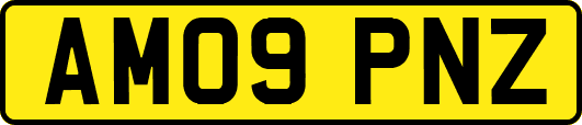 AM09PNZ