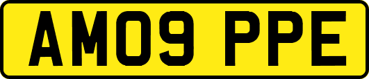 AM09PPE
