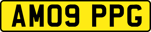 AM09PPG