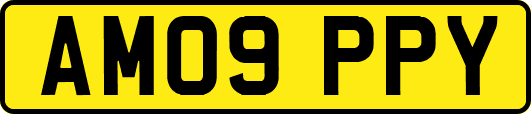 AM09PPY