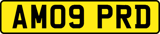 AM09PRD
