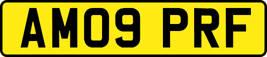 AM09PRF