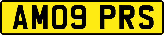 AM09PRS