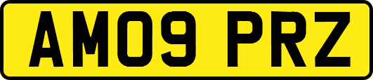 AM09PRZ