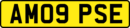 AM09PSE