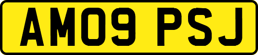 AM09PSJ