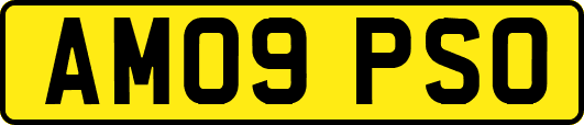 AM09PSO