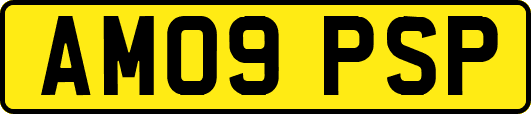 AM09PSP