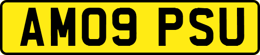 AM09PSU
