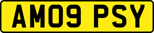 AM09PSY