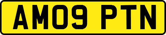 AM09PTN