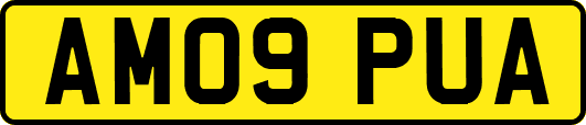 AM09PUA
