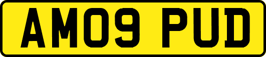 AM09PUD