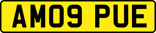 AM09PUE