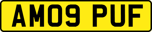 AM09PUF