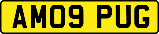 AM09PUG