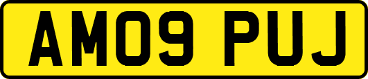 AM09PUJ