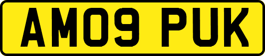 AM09PUK