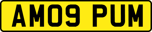 AM09PUM
