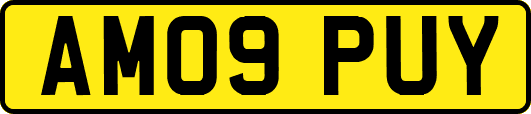 AM09PUY