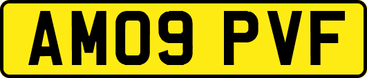 AM09PVF