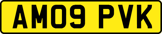 AM09PVK