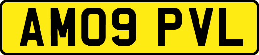 AM09PVL